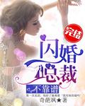 闪婚总裁契约妻完整版