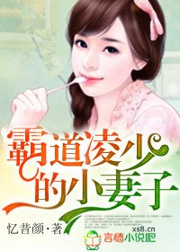 霸道凌少的小妻子全部