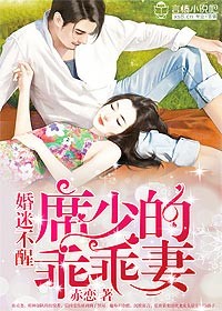 婚迷不醒席少的乖乖妻