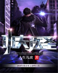 功夫圣医莫问完结版