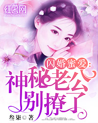 闪婚蜜爱!老公