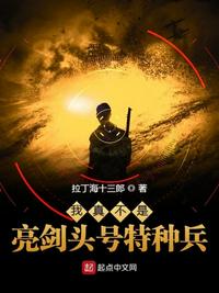 我真不是亮剑头号特种兵txt下载精校版