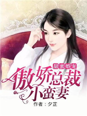 甜蜜婚宠：傲娇总裁小蛮妻