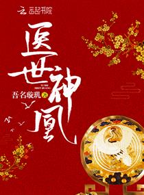 医世神凰讲的什么