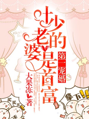 《天价闪婚:叶少的第一宠儿》