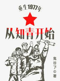 小说重生1977年从知青开始