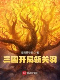 三国开局斩关羽