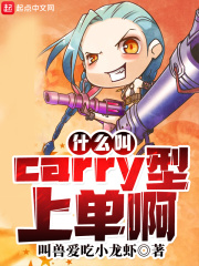 什么叫Carry型上单啊w