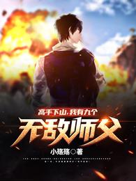 我有九个无敌师父完结版