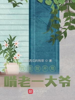 四合院开局就坑一枝花