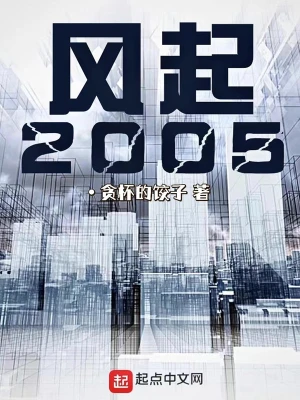 风起2005小说