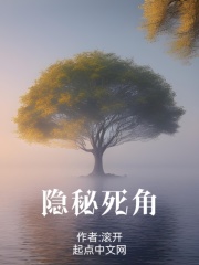 隐秘死角小说